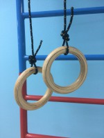 Кольца навесные для детского спортивного комплекса (диаметр 16 сантиметров, фанера) - fgospostavki.ru - Ейск