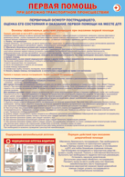 Таблица "Первичный осмотр пострадавшего, оценка его состояния и оказание первой помощи на месте ДТП" (100х140 сантиметров, винил) - fgospostavki.ru - Ейск