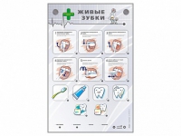 Интерактивный стенд "Живые зубки" - fgospostavki.ru - Ейск