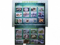 Комбинированный модульный комплекс "Лого-биолог" - fgospostavki.ru - Ейск