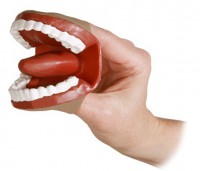 Муляж артикуляционного аппарата - fgospostavki.ru - Ейск