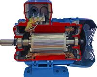 Учебная модель «Электродвигатель асинхронный в разрезе» - fgospostavki.ru - Ейск