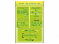 Стенды "Схемы по экономике" - fgospostavki.ru - Ейск