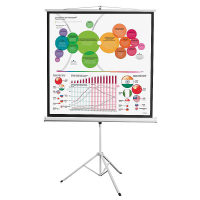 Экран на штативе DSKD-1104 - fgospostavki.ru - Ейск