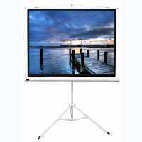 Экран на штативе DSKD-4302 - fgospostavki.ru - Ейск