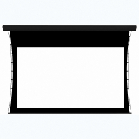 Экран настенный с электроприводом DSTPX-16915 - fgospostavki.ru - Ейск