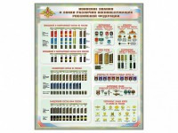 Стенд "Воинские звания и знаки различия военнослужащих Российской Федерации" - fgospostavki.ru - Ейск