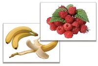 Дидактическое пособие "Фрукты, ягоды, орехи" (24 карточки) - fgospostavki.ru - Ейск