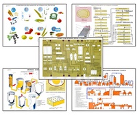 Плакаты ПРОФТЕХ "Сырье и материалы хлебопекарного производства" (20 пл, винил, 70х100) - fgospostavki.ru - Ейск