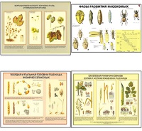 Плакаты ПРОФТЕХ "Вредители и болезни с/х культур и меры борьбы с ними" (11 пл, винил, 70х100) - fgospostavki.ru - Ейск