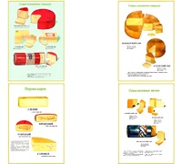 Плакаты ПРОФТЕХ "Ассортимент сыров" (9 пл, винил, 70х100) - fgospostavki.ru - Ейск