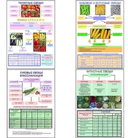 Плакаты ПРОФТЕХ "Классификация овощей" (11 пл, винил, 70х100) - fgospostavki.ru - Ейск