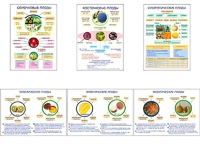 Плакаты ПРОФТЕХ "Плоды" (6 пл, винил, 70х100) - fgospostavki.ru - Ейск