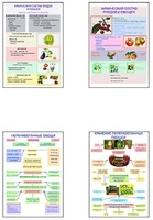 Плакаты ПРОФТЕХ "Классификация овощей и переработка" (8 пл, винил, 70х100) - fgospostavki.ru - Ейск
