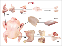 Таблица "Правила разделки мясных туш. Курица" (100х140 сантиметров, винил) - fgospostavki.ru - Ейск