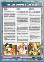 Стенд "Белки. Жиры. Углеводы" - fgospostavki.ru - Ейск