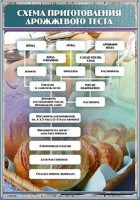 Стенд "Схема приготовления дрожжевого теста" - fgospostavki.ru - Ейск