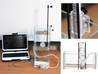 Набор демонстрационный «Гидростатика и плавание тел» - fgospostavki.ru - Ейск