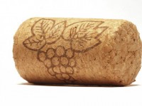 Роторасширитель Пробка - fgospostavki.ru - Ейск