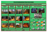 Стенд-планшет электрифицированный «Виды лесных пожаров»  - fgospostavki.ru - Ейск