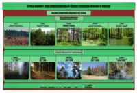 Стенд-планшет электрифицированный «Оценка пожарной опасности в лесах»  - fgospostavki.ru - Ейск
