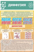 Стенд "Диффузия" - fgospostavki.ru - Ейск