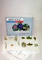 Гербарий "Морфология растений" (5 тем х 3 листа) - fgospostavki.ru - Ейск