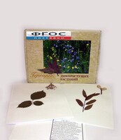 Гербарий "Дикорастущие растения" (28 видов) - fgospostavki.ru - Ейск