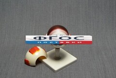 Модель "Глаз человека" (лабораторная) - fgospostavki.ru - Ейск