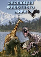 DVD "Эволюция животного мира" - fgospostavki.ru - Ейск