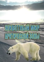 DVD "Животный мир Арктической зоны" - fgospostavki.ru - Ейск