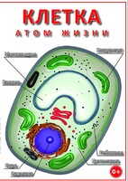 DVD "Клетка - "атом жизни" - fgospostavki.ru - Ейск
