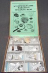 Коллекция "Многообразие раковин моллюсков" - fgospostavki.ru - Ейск