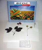 Гербарий "Сельскохозяйственные растения" (28 видов) - fgospostavki.ru - Ейск