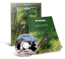 Электронное наглядное пособие «Птицы» - fgospostavki.ru - Ейск