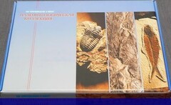 Коллекция "Палеонтологическая" (16 образцов) - fgospostavki.ru - Ейск