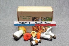 Набор муляжей грибов - fgospostavki.ru - Ейск