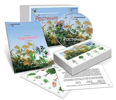 Комбинированное наглядное пособие «Растения» - fgospostavki.ru - Ейск