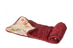 Спальный мешок (0...+10°) (вариант 2) - fgospostavki.ru - Ейск