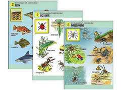 Комплект таблиц "Окружающий мир. Животный мир" (8 таблиц, А1, ламинированные) - fgospostavki.ru - Ейск