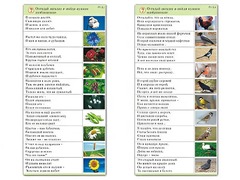 Комплект карточек (10) "Обучающий калейдоскоп. Природа" - fgospostavki.ru - Ейск