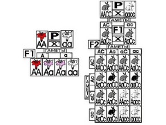 Модель-аппликация "Неполное доминирование и взаимодействие генов" (ламинированная) - fgospostavki.ru - Ейск