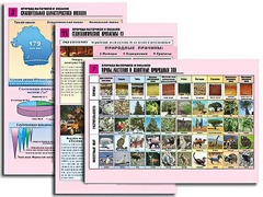 Комплект таблиц по географии "Природа материков и океанов" раздаточные (цветные, ламинированные, А4, 12 штук) - fgospostavki.ru - Ейск