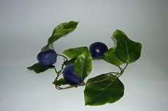 Ветка муляжей "Слива" - fgospostavki.ru - Ейск