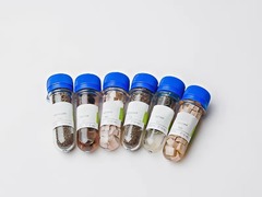 Набор № 6 ОС Щелочные и щелочноземельные металлы - fgospostavki.ru - Ейск