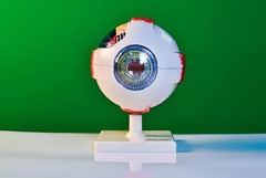 Модель глаза - fgospostavki.ru - Ейск