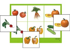 Логопедическое лото "Овощи" (4 планшета, 24 карточки, цветное, ламинированное) - fgospostavki.ru - Ейск