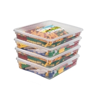 Набор для конструирования «Фанкластик: весь мир в руках твоих 4 (4-5 лет)» - fgospostavki.ru - Ейск