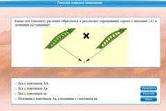 Интерактивные курсы. Биология 11 класс. Базовый. - fgospostavki.ru - Ейск
