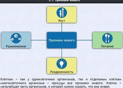 Интерактивные курсы. Биология 5 класс. Базовый - fgospostavki.ru - Ейск